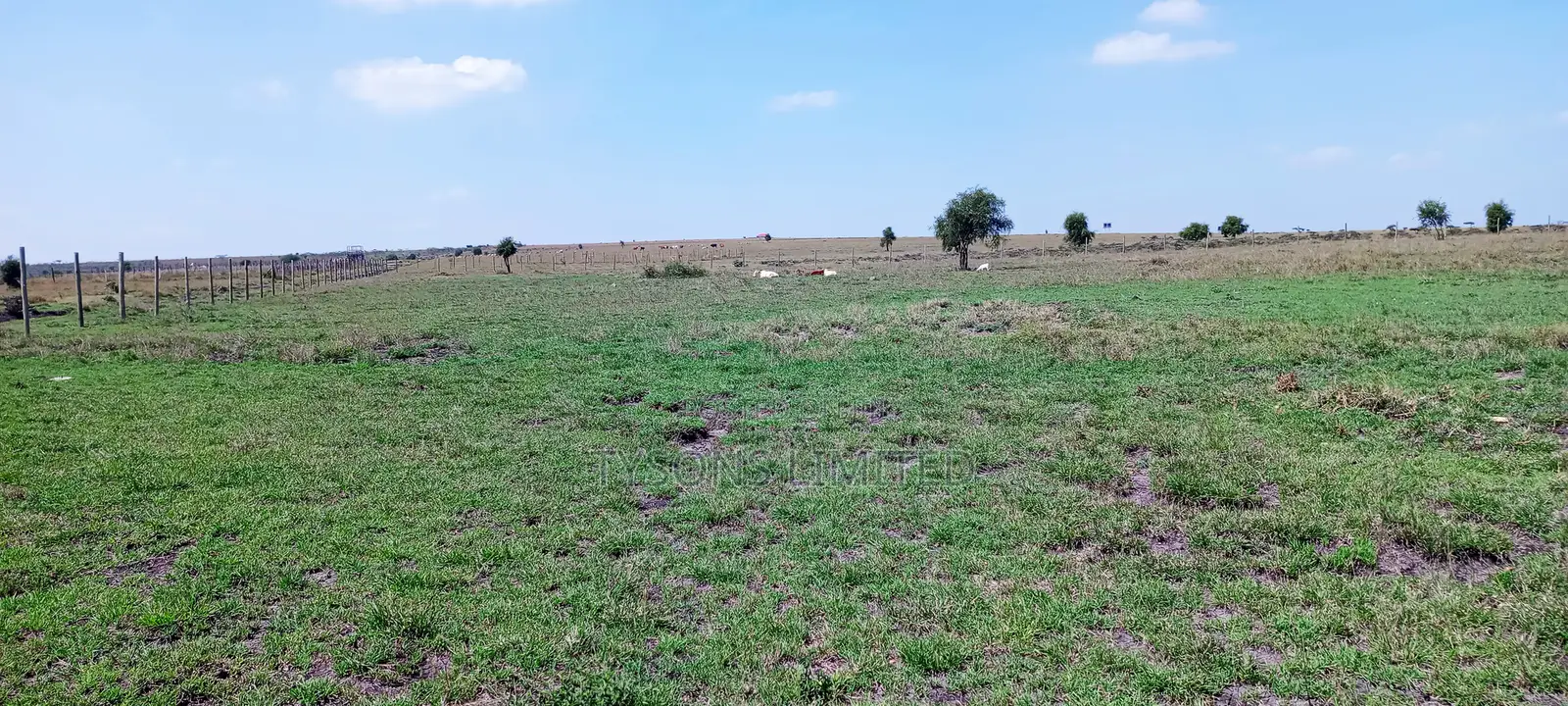 Vacant Plots for Sale – Isinya