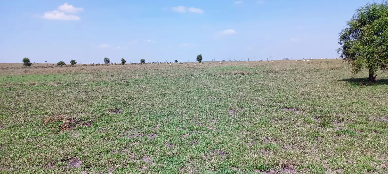 Vacant Plots for Sale – Isinya