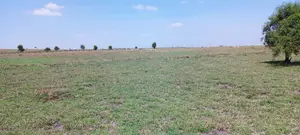 Vacant Plots for Sale – Isinya