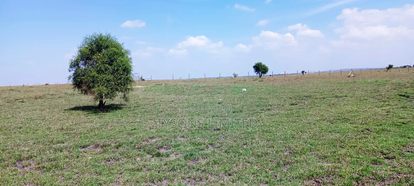 Vacant Plots for Sale – Isinya