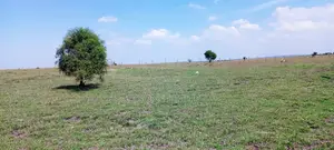 Vacant Plots for Sale – Isinya
