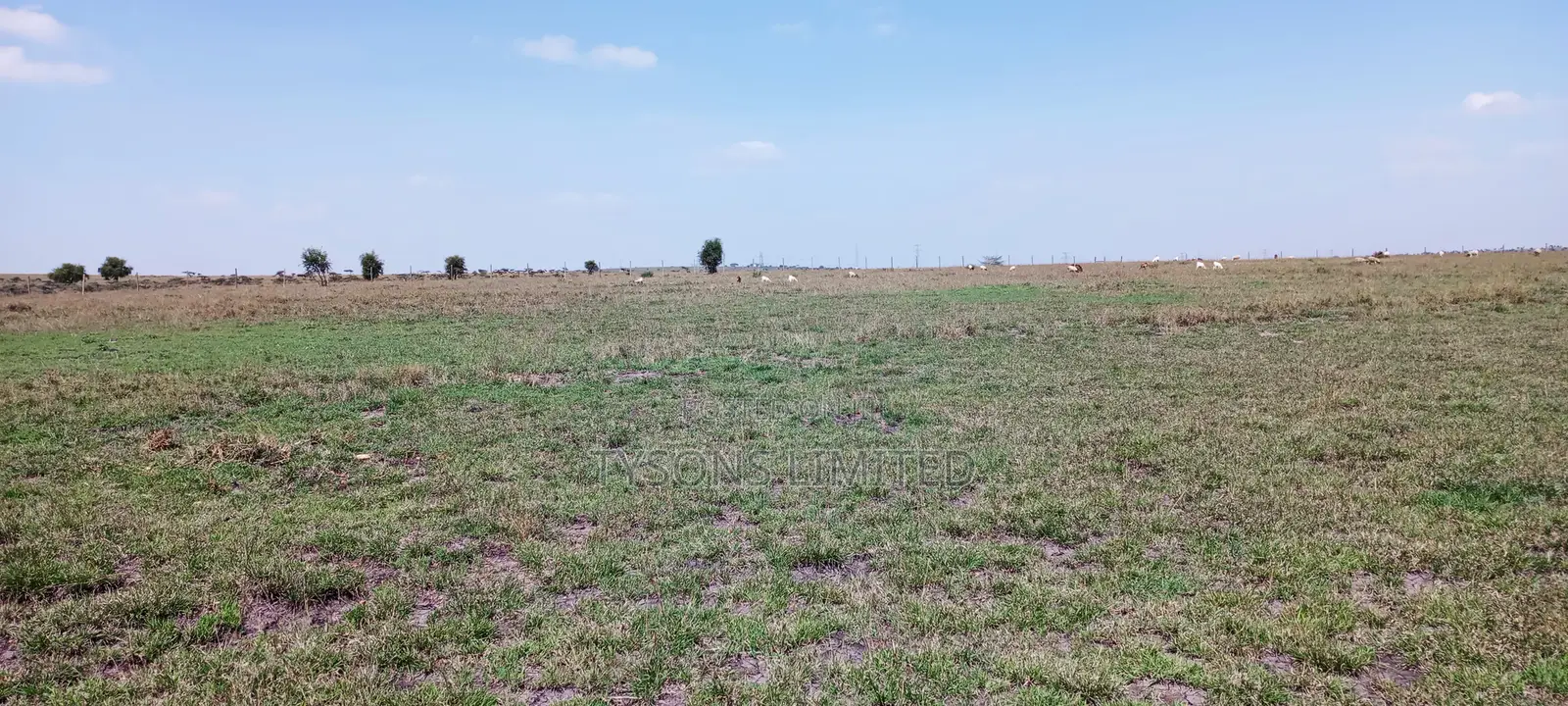 Vacant Plots for Sale – Isinya