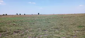 Vacant Plots for Sale – Isinya