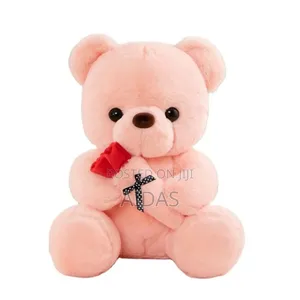 Teddy Bear Valentine's Gift