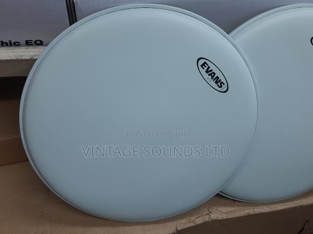 Evans Drum Skin / Drum Membrane