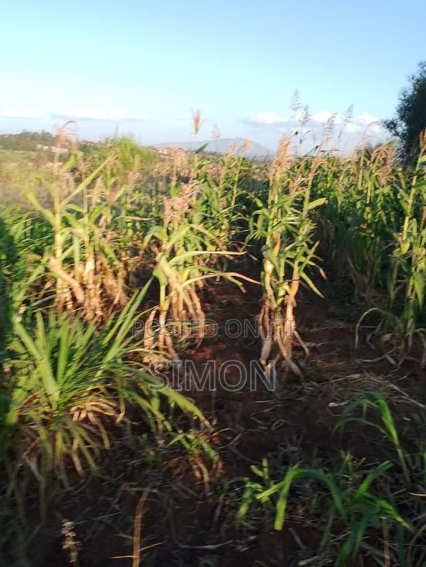 100 by 100 Prime Plot 2.5 Km FRM Thika Rd - thumbnail 6