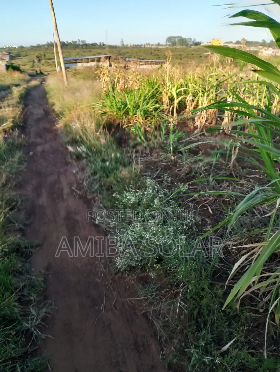 100 by 100 Plot for Sale-Thika Road