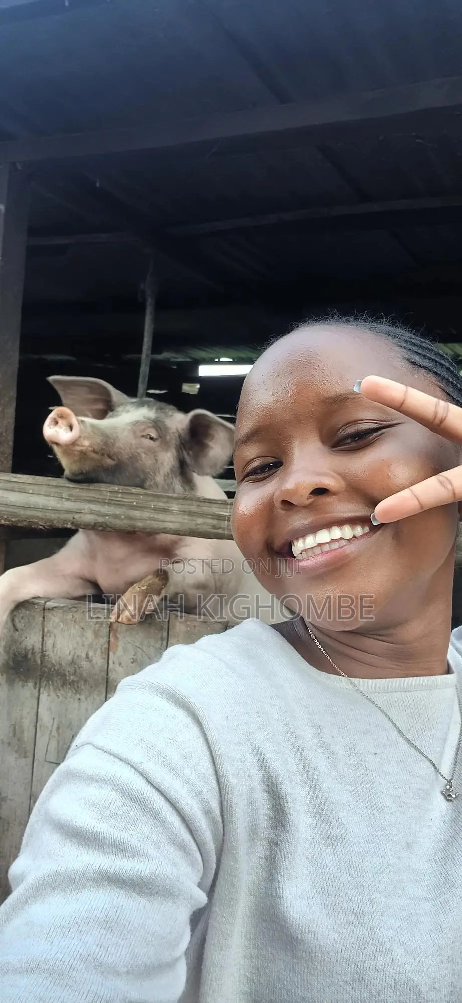 Animal Health Practitioner