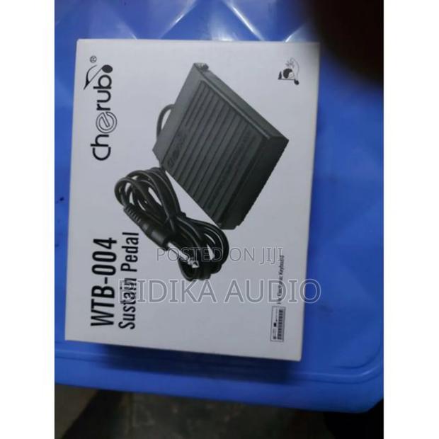 WTB-004 Piano Sustain Pedal Damper
