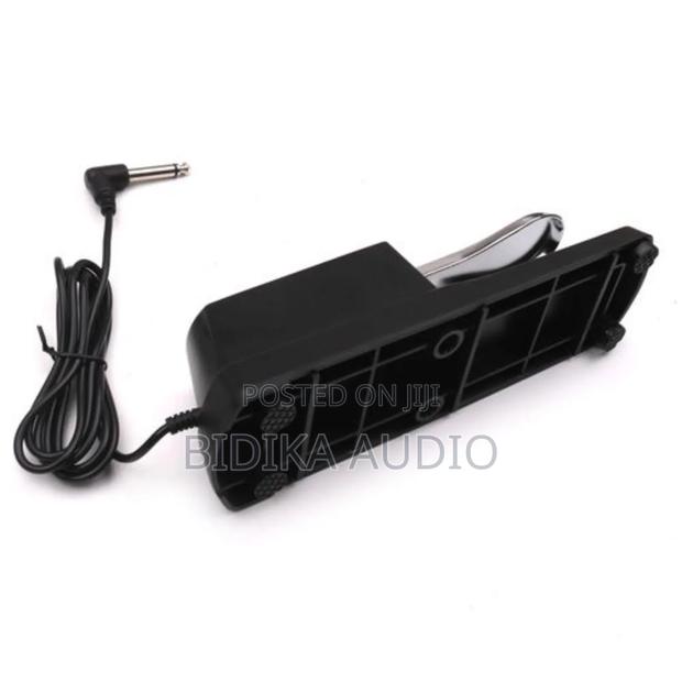 Original Piano Sustain Pedal - main view