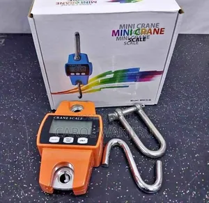 300kgs Crane Scale/ Digital Weighing Scale 300kgs