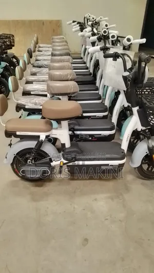Electric Bicycle