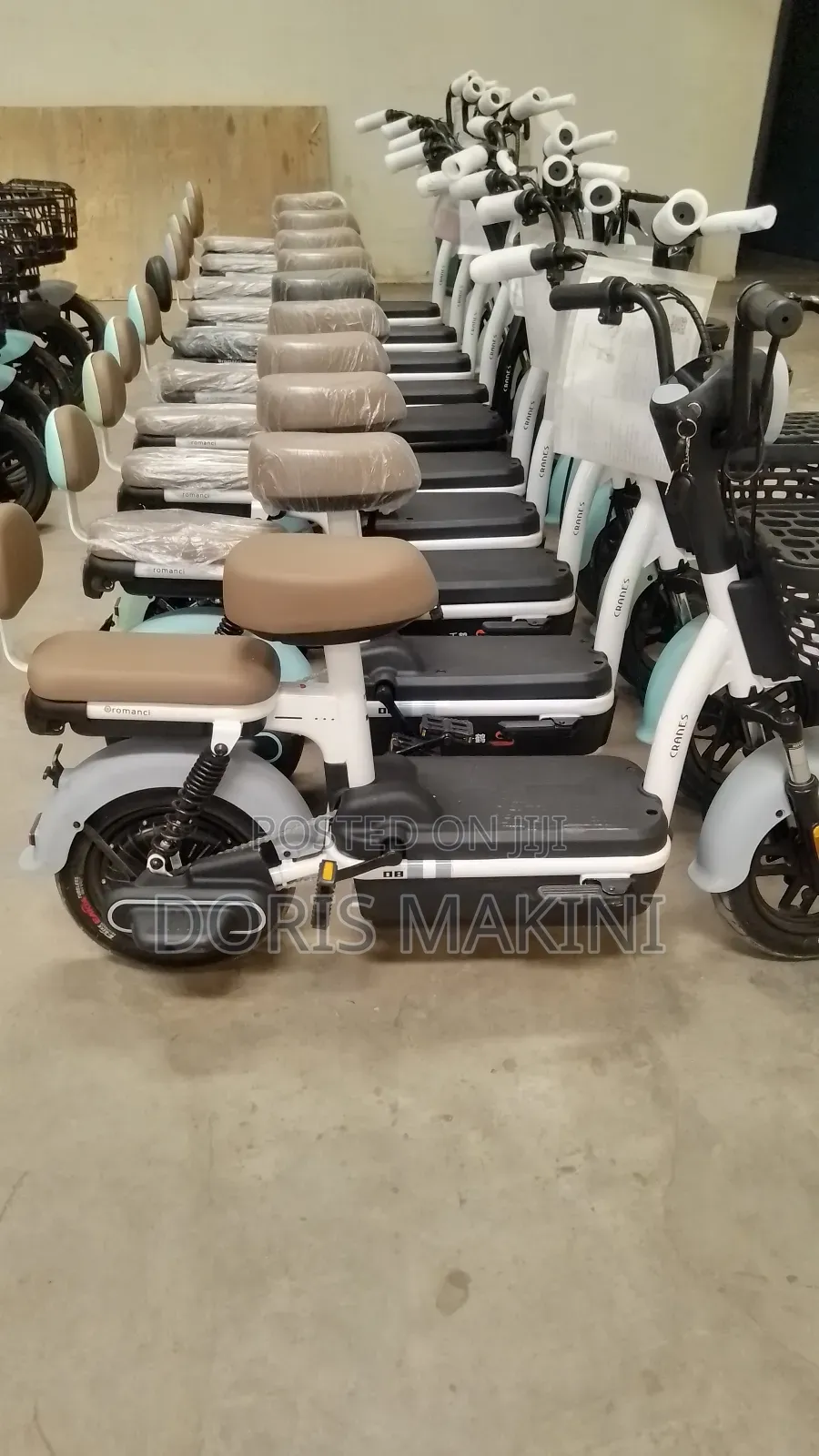 Electric Bicycle