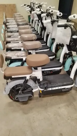 Electric Bicycle