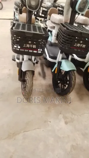 Electric Bicycle