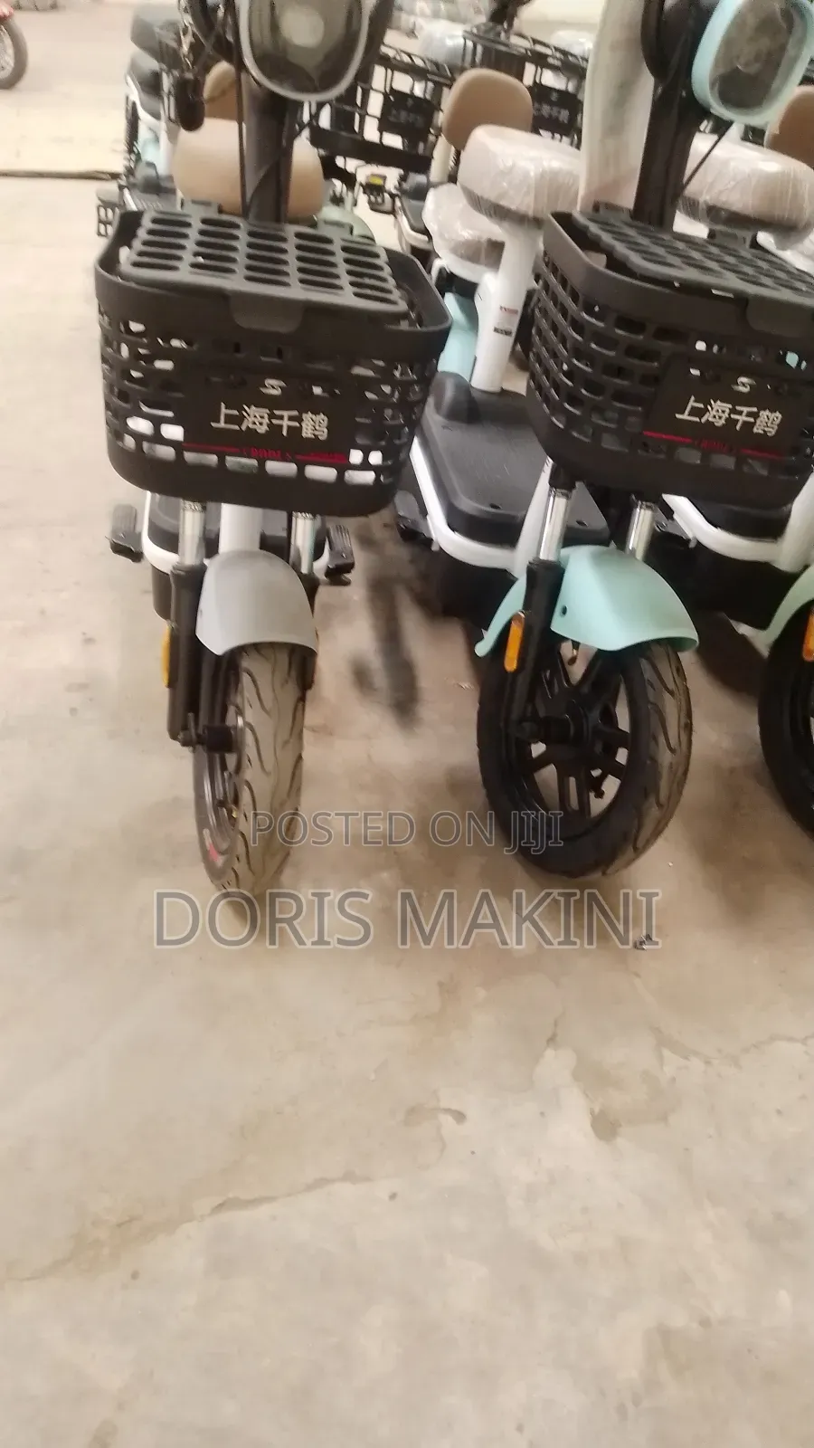 Electric Bicycle