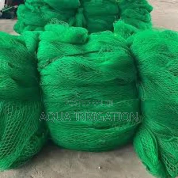 Bird Protection Made Easy With Our Nets