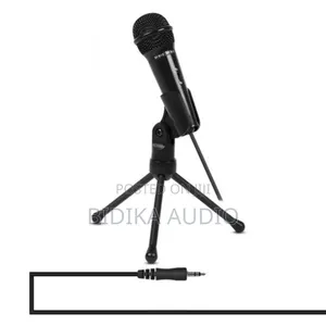 Professional Condenser Sound Recording Microphone