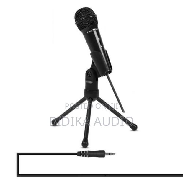 Professional Condenser Sound Recording Microphone