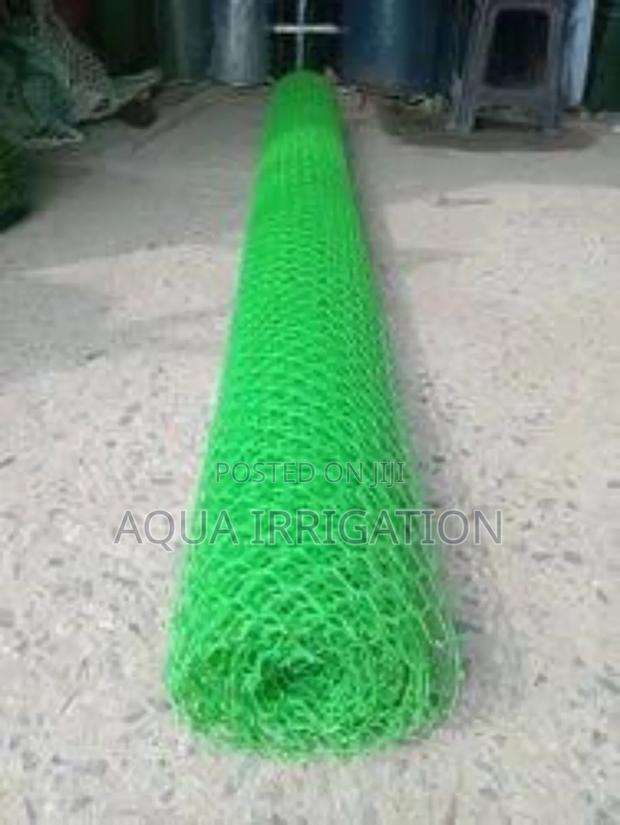 Bird Nets: The Key to a Bumper Harvest - main view