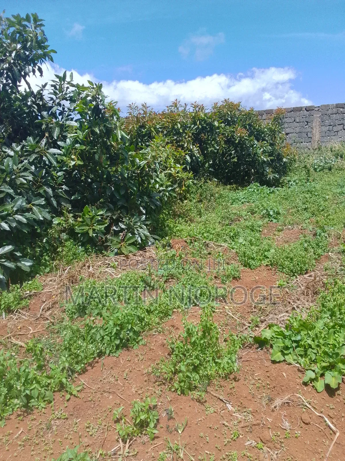 1.5 Acres Nyambari, Uplands