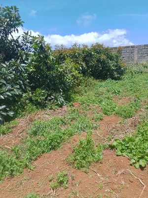 1.5 Acres Nyambari, Uplands