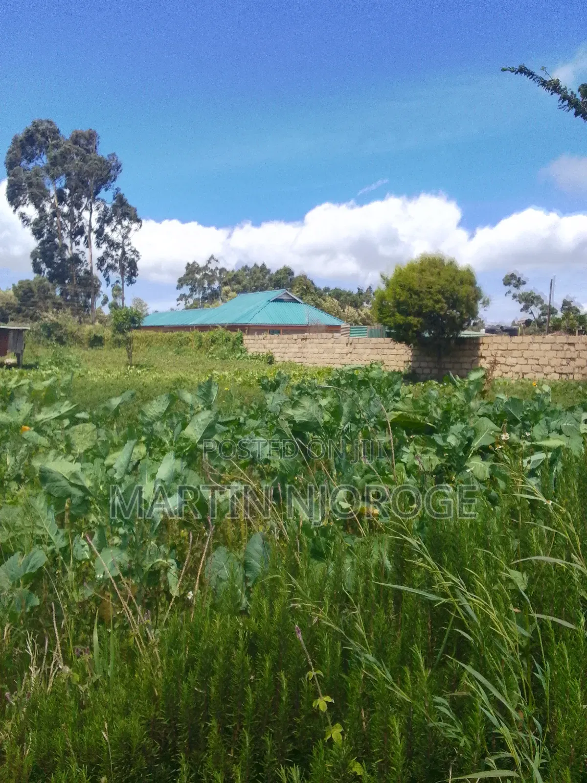 1.5 Acres Nyambari, Uplands