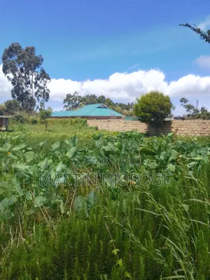 1.5 Acres Nyambari, Uplands