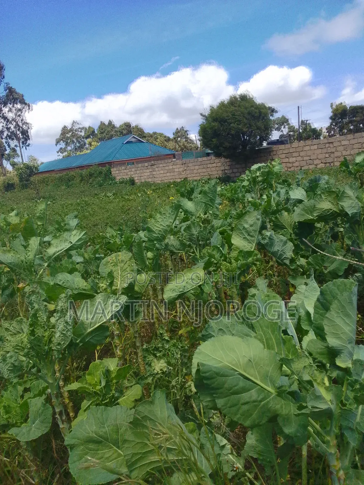 1.5 Acres Nyambari, Uplands