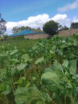 1.5 Acres Nyambari, Uplands