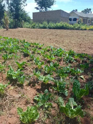 1.5 Acres Nyambari, Uplands