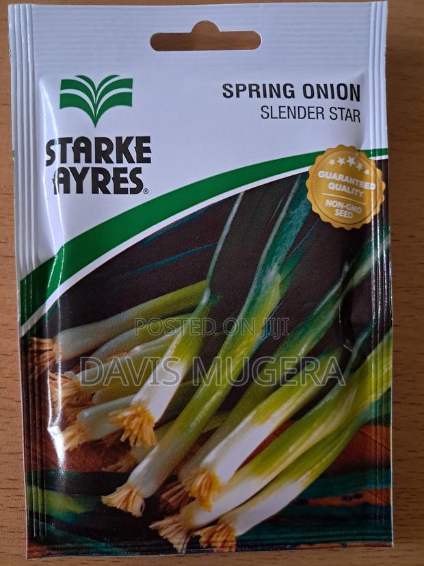 Royal BUNCHING ONION/SPRING ONION - 10 Grams - main view