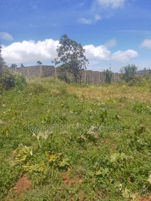 1⁄2 Acre Nyambari, Lari