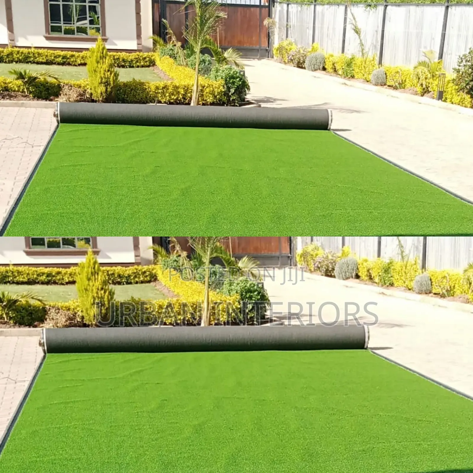 Outdoor Grass Carpet Outdoor Grass Carpet.Sunlight