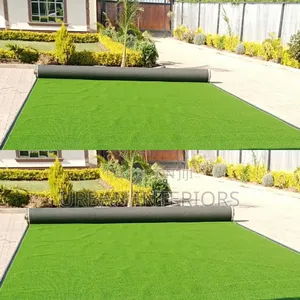 Outdoor Grass Carpet Outdoor Grass Carpet.Sunlight