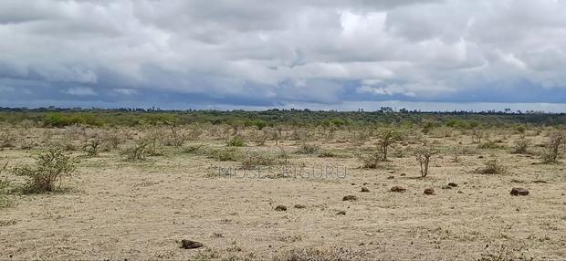 Mwalimu Farm 6 Acres. - main view