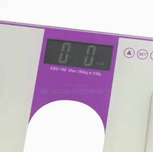 Body Fat Scale (BF13)
