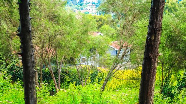 Prime Commercial Plot for Sale in Gitaru - thumbnail 6