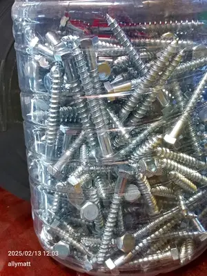 Toilet Screw