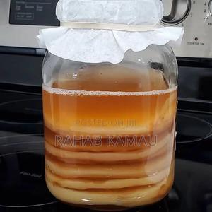 Kombucha Scoby - thumbnail 2