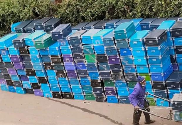 Modest School Boxes