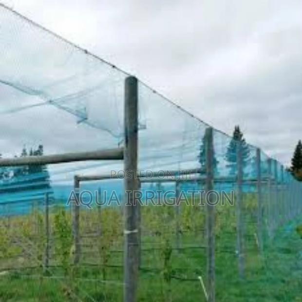 Keep Birds Out – Get Your Bird Net Today!