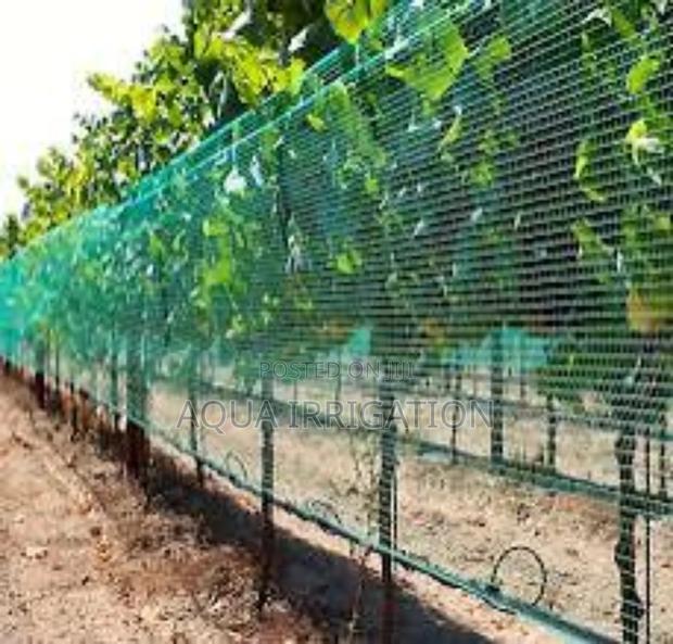Bird Netting That Lasts – Get Yours Today! - main view