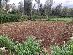 Prime Plot for Sale