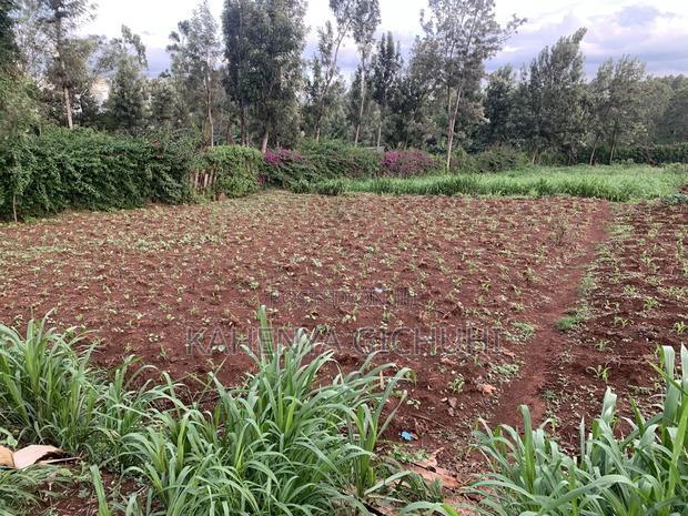 Prime Plot for Sale - thumbnail 4