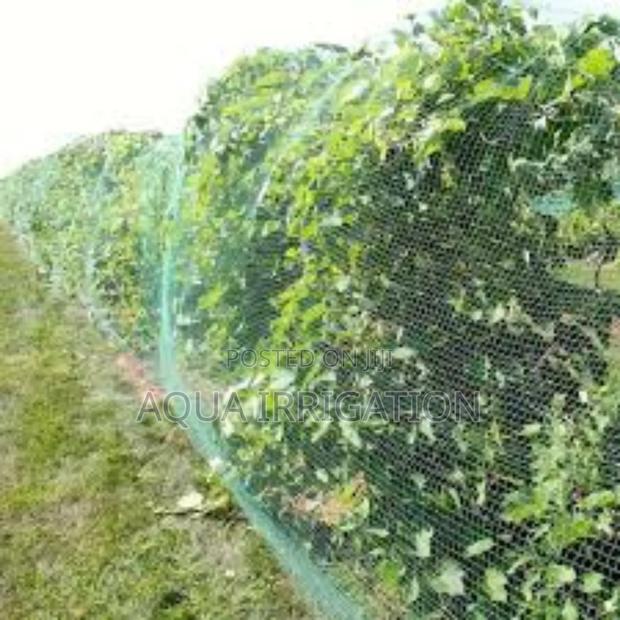 Crop-Saving Bird Nets at Unbeatable Prices! - main view