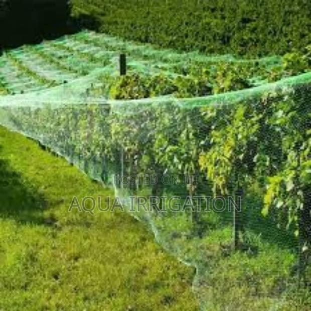 Strong Lightweight Bird Nets – Order Now! - main view