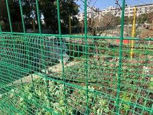 High-Quality Bird Nets for Every Farmer! - thumbnail 2