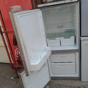 Bottom Freezer Two Door Fridge