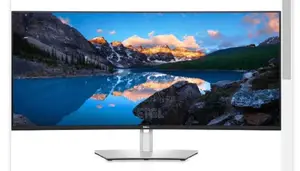Dell Ultrasharp U4924dw Curved Monitor